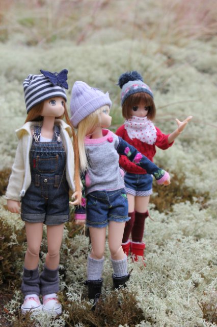 Японские девочки azone pure neemo в русском лесу