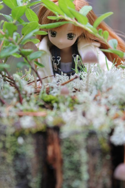 Японские девочки azone pure neemo в русском лесу