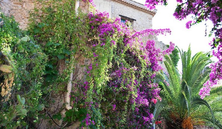 Ницца, Марсель, море и горы