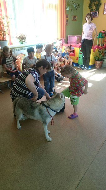 Зверики для Зайчиков....Или о том,что мы отдаем миру | Бэйбики Зверики для Зайчиков....Или о том,что мы отдаем миру (фото 5)