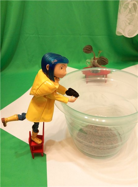 Мама любит куколок и цветочки | Бэйбики Мама любит куколок и цветочки