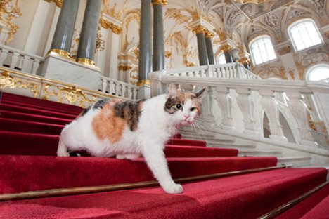 Праздник невыриков или Что вы делаете в выходные