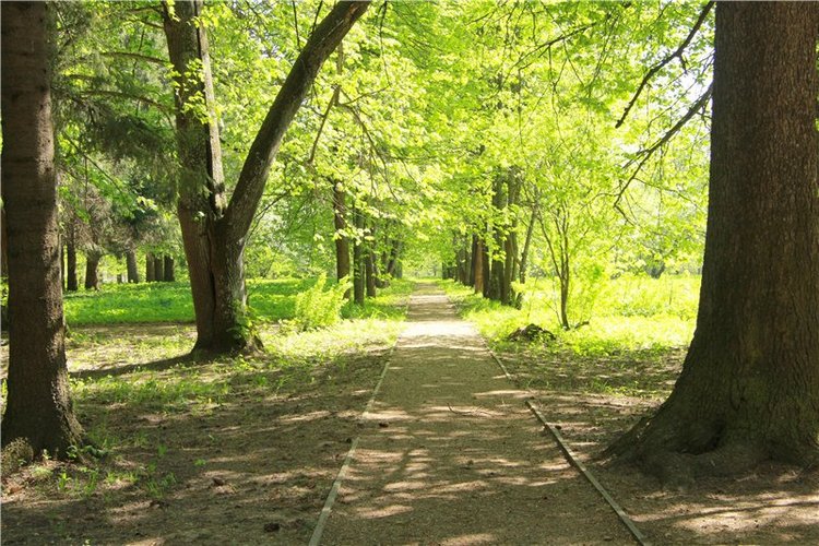 Субботний вояж. Третья часть | Бэйбики Субботний вояж. Третья часть