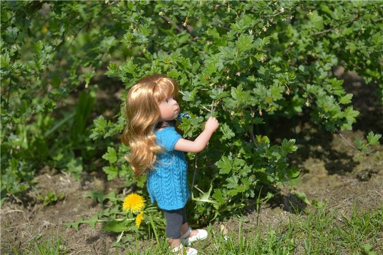 Во саду ли, в огороде — Куклы Sylvia Natterer (Сильвия Наттерер): Gotz
