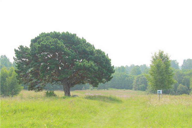 Иваниши. Храм Успения Пресвятой Богородицы