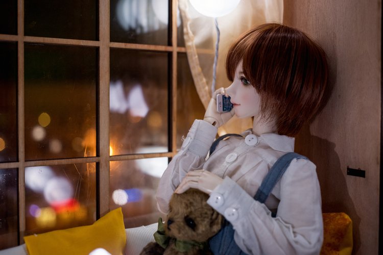 Неизвестный номер — Фотоистории с куклами BJD (БЖД): сериалы