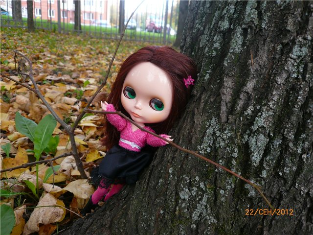 Мои Блайзочки — Оригинальные куклы Blythe (Блайз): Takara