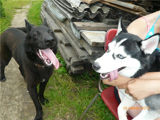 Настюша. Винтажная малышка