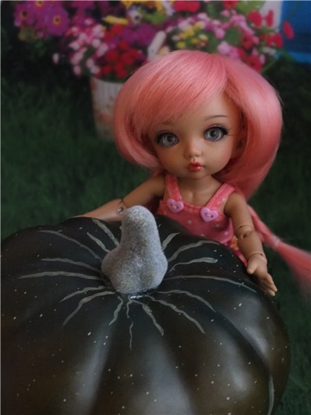 В огород, за урожаем — Куклы Fairyland (ФэйриЛэнд): BJD (БЖД) (фото 6)