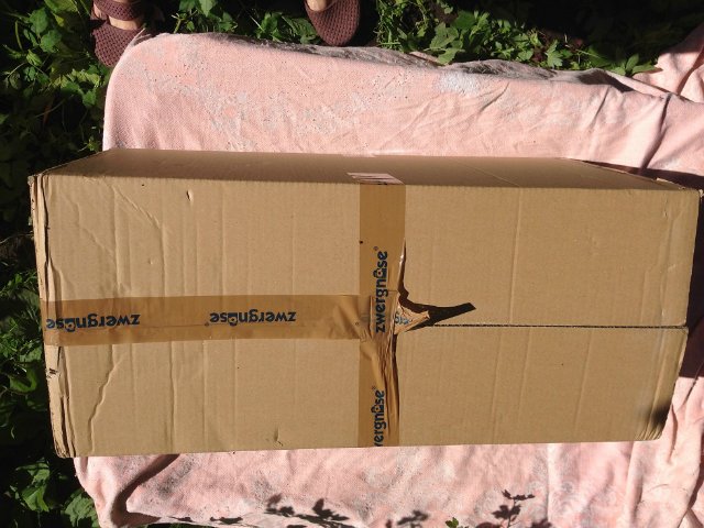 Zwergnase. Anneli. Распаковка и фотосессия (фото 2)