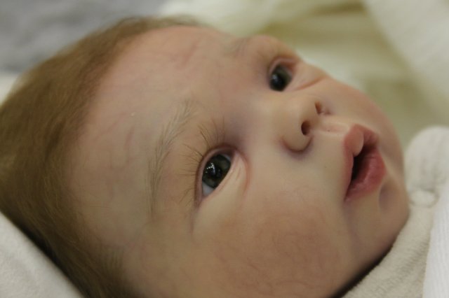 Фотоотчёт с выставки кукол MOSCOW FAIR 2015 - наши мастера кукол реборн | Бэйбики Фотоотчёт с выставки кукол MOSCOW FAIR 2015 - наши мастера кукол реборн