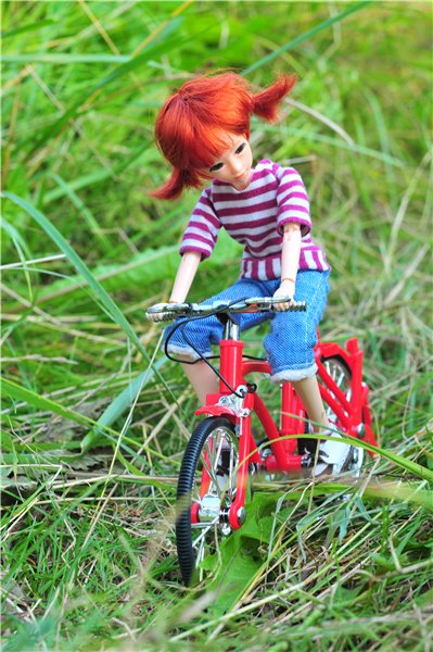 Велик, Мурзик и цветы — Куклы и тела Obitsu (Обитсу): 1/6 (фото 6)