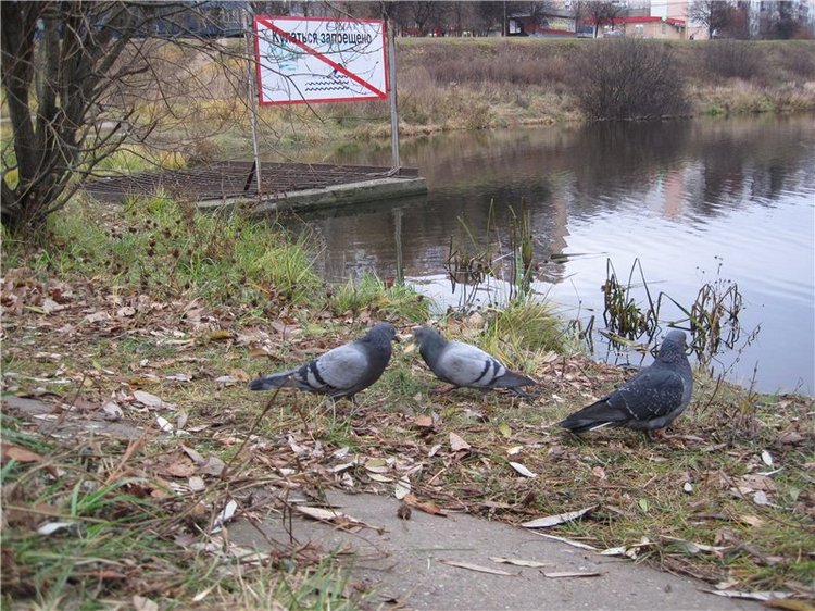 Кирюша. Игровой испанский малышок, фирма Arias (фото 8)