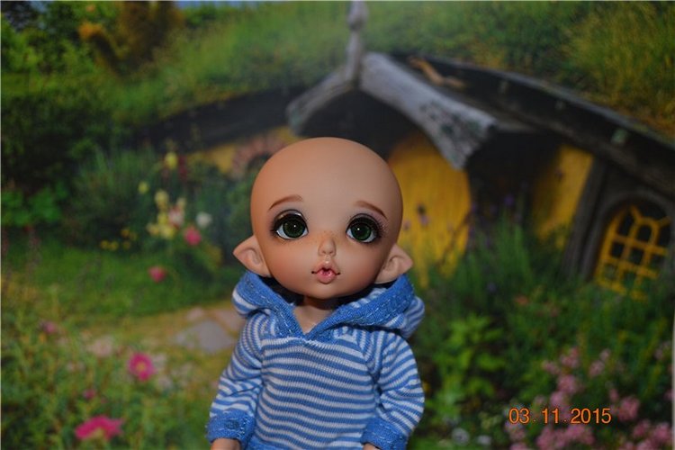 Такие чудные ПукиФи - наш новый член семьи (фото 2)