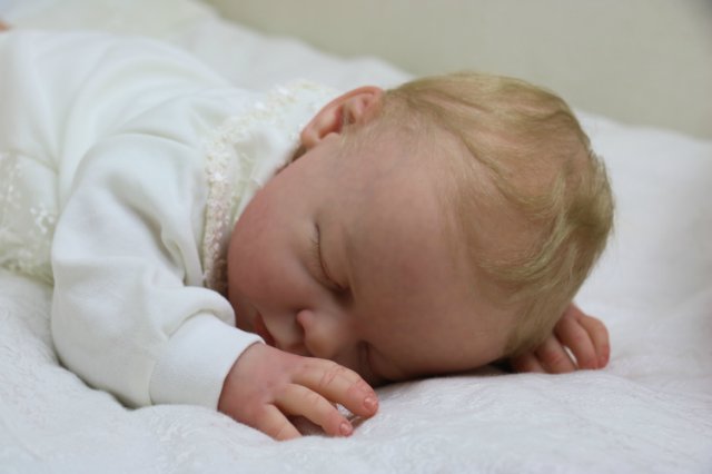 Ноашечка. Куколка реборн Виктории Вишни