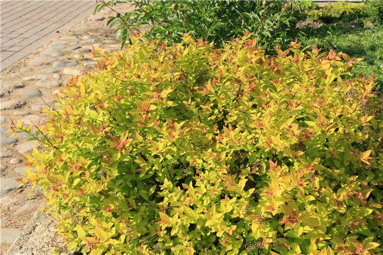 Кашин - город русского сердца. Часть четвёртая. Николаевский Клобуков женский монастырь