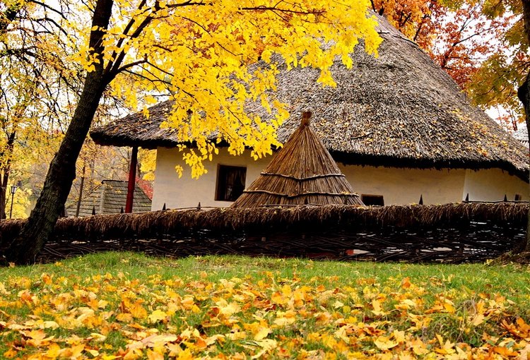 Красотка-осень — Болталка и разговоры обо всем: жизнь