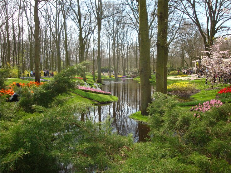 Парк цветов в Кеукенхоф (Keukenhof) в Нидерландах (Голландия)