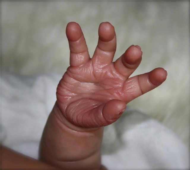 Новый молд куклы реборн Heavenly by Nicole Russell (фото 4)