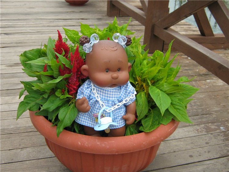 Пупсы Nines Artesanal D'Onil в Ижевском зоопарке