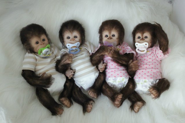 Развеселая компания (или мини-зоопарк)! Куклы реборн Вишни Виктории (фото 2)