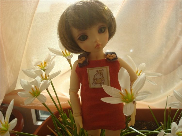 Наши малышки (худжио и Литлфи Луна)