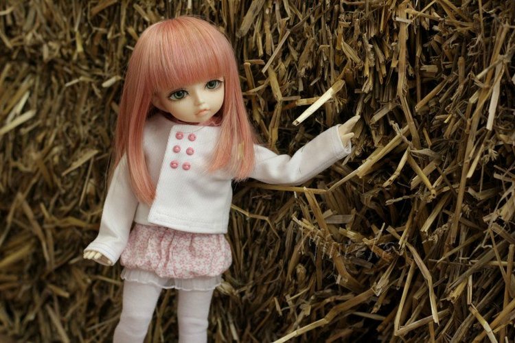 Отчет за весну-лето или просто "Немножко Кими" =)