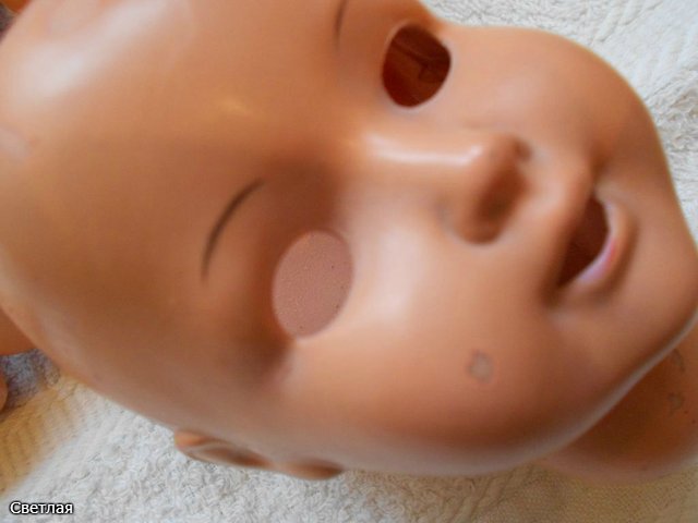 Реставрация Катеньки. SAS. Тортулон (фото 4)