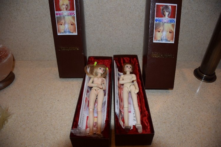 Жемчужинки моей коллекции! Распаковка Unoa Lights Fluorite Gentaro Araki (фото 2)