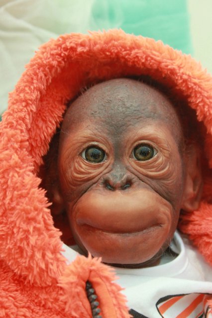 Фотоотчёт №1 с выставки кукол декабрь2014 от Элины Кудрявцевой | Бэйбики Фотоотчёт №1 с выставки кукол декабрь2014 от Элины Кудрявцевой