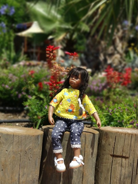 Ещё немного о путешествии малышек - Химочек (фото 9)