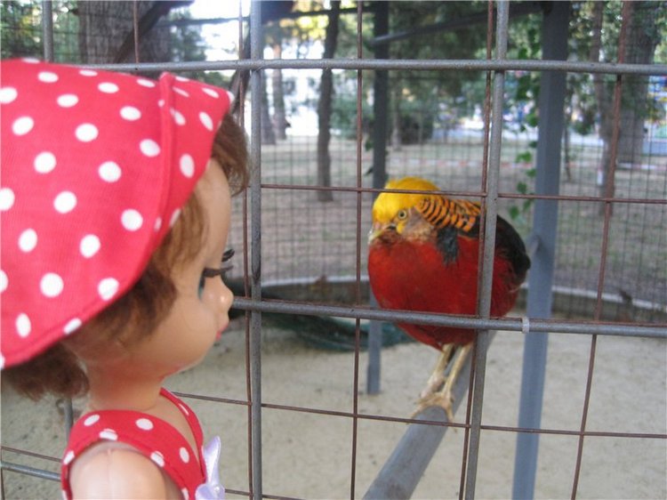 Галчонок и лето. Винтажна куколка СССР Галя