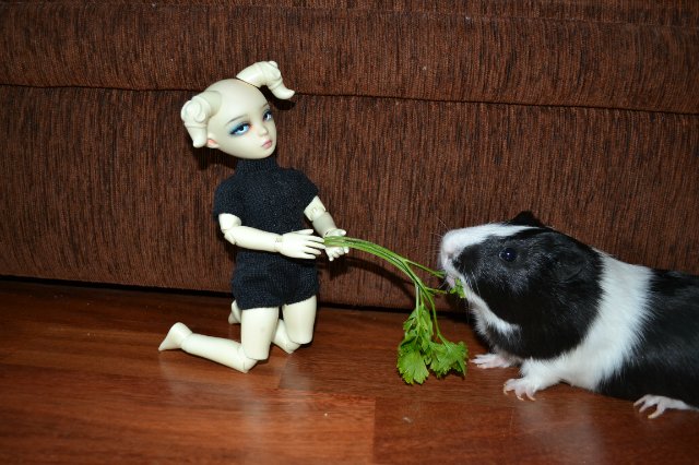 Главное не победа, главное -участие