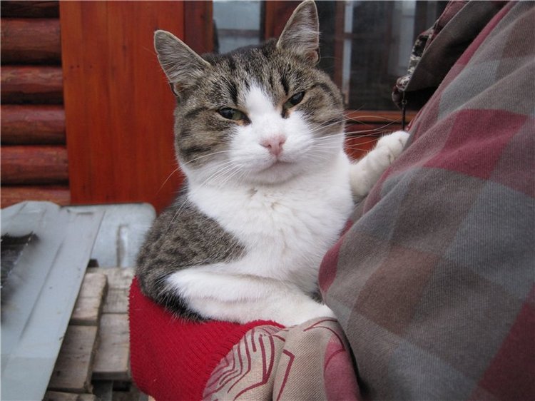 Кирюша. Игровой испанский малышок, фирма Arias