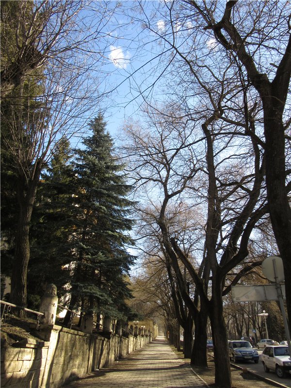 "Хроники Нарнии"? Нет, Кисловодск