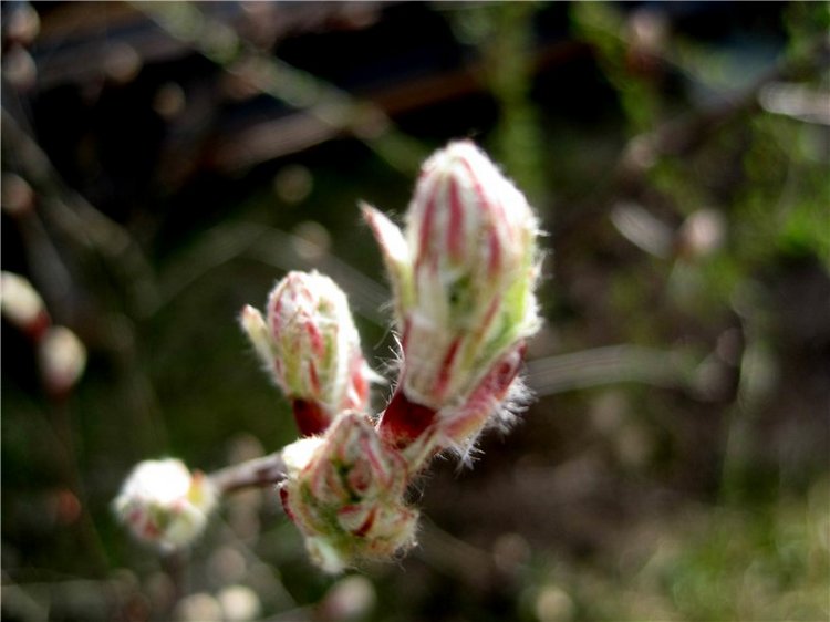 С праздником! Наше жёлторотое пополнение
