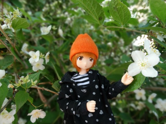 Прогулка в прохладный день | Бэйбики Прогулка в прохладный день