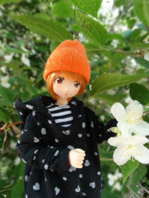 Прогулка в прохладный день | Бэйбики Прогулка в прохладный день