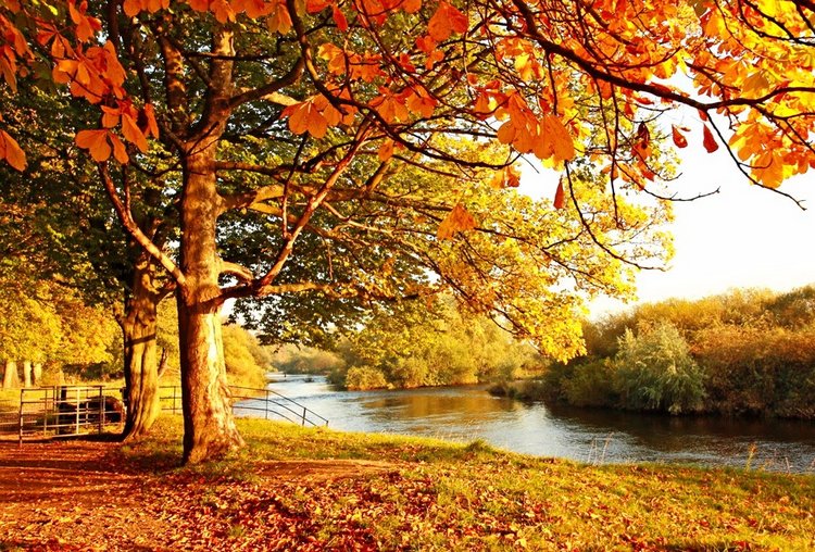 Красотка-осень — Болталка и разговоры обо всем: жизнь