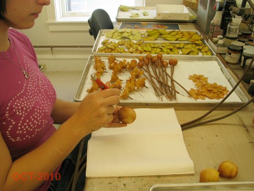 Десерт от R. John Wright — Коллекционные куклы разных авторов (Разное): редкие бренды