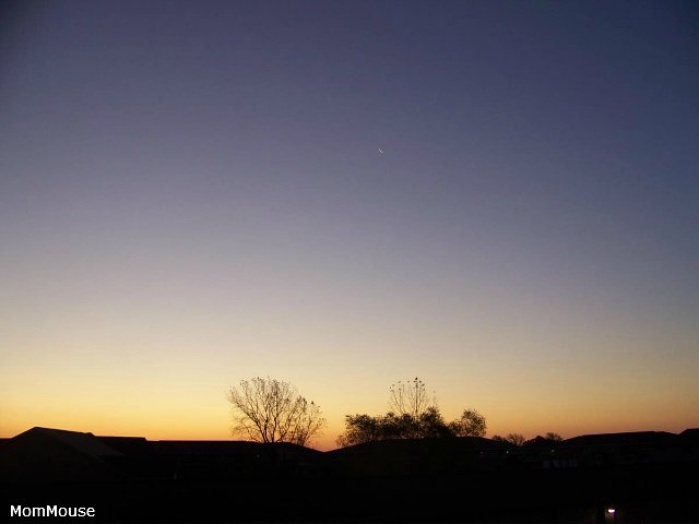 Очаровательные ангелы от Fayzah Spanos (фото 2)