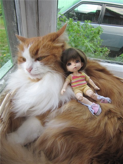 Воспоминания о лете. Куклы БЖД | Бэйбики Воспоминания о лете. Куклы БЖД (фото 2)