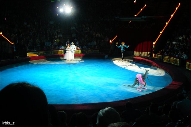 Вот так чудеса или как Ариэль в Большой Московский Цирк ходила. PukiFee Ante Ариэтти, PukiFee Bonnie Ариэль