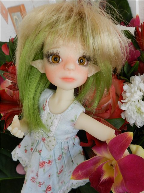 Nut Meg by Kaye Wiggs