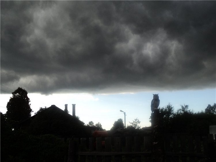 Ждем лета и верим в чудо! Куклы Готц и наряды