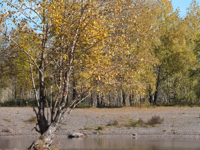 Осень золотая пора. Натали, LUTS (мейк от WOLKOLAK) (фото 7)