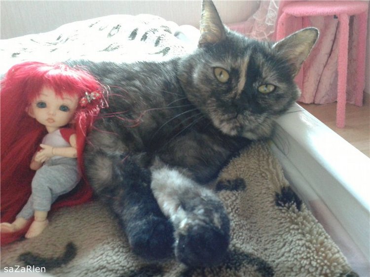 Бонняша (Fairyland Pukifee Bonnie) (фото 5)