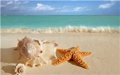 Русалочка-TAMANI от Annette Himstedt