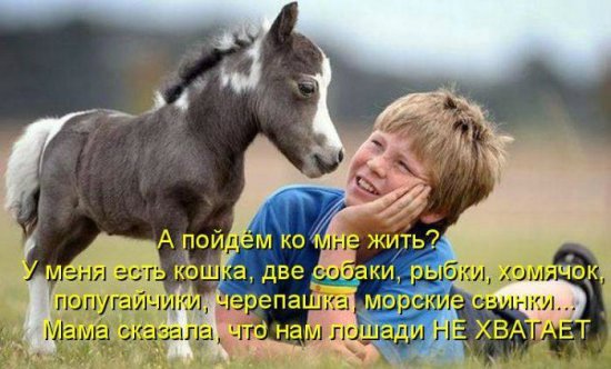 Просто добавь улыбку или пятничный девиз