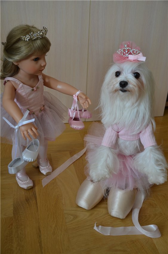 Балерина Хлоя или наше участие в конкурсе "Кукла и питомец"